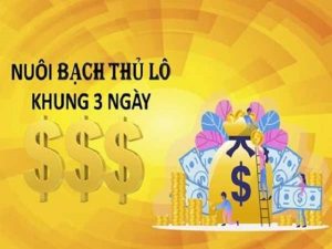 Việc phân chia tỷ lệ vào tiền khi nuôi khung rất quan trọng