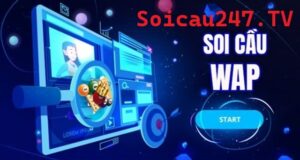 Soicauwap là địa chỉ soi cầu uy tín hiện nay