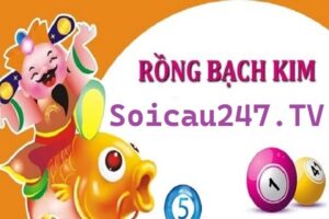 Rồng bạch kim được biết đến là trang web hỗ trợ soi cầu hiệu quả