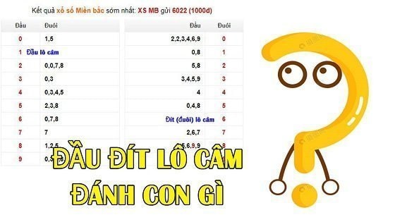 Giải mã: Khi đầu câm đít câm đánh con gì?
