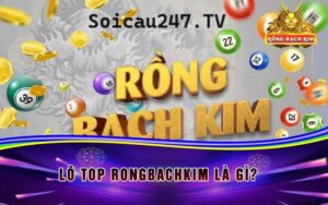 Lô top là những con số được nhiều người dự đoán là hay về nhất